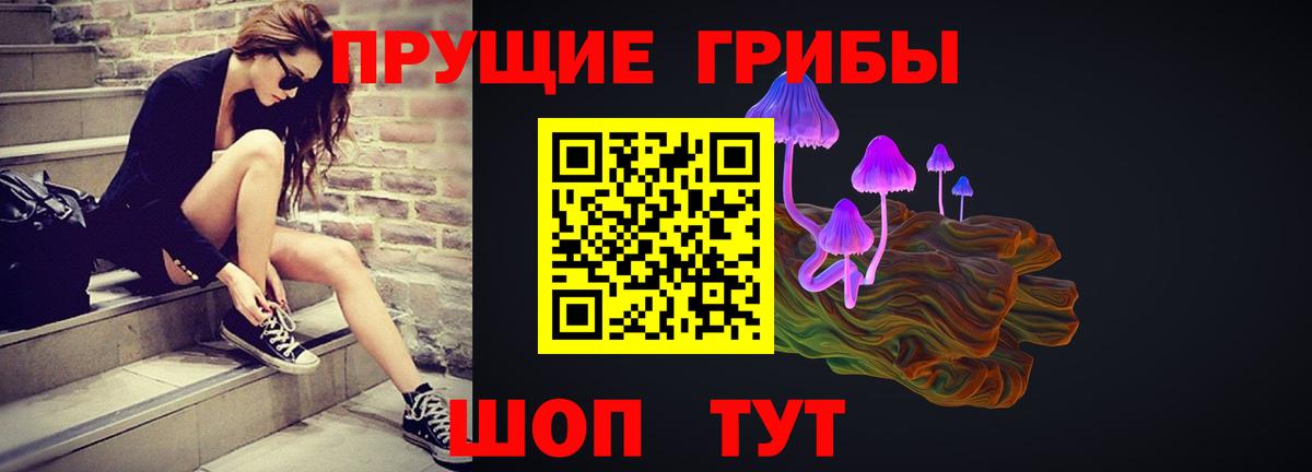 Галлюциногенные грибы прущие грибы  Вход с VPN  Отрадное 